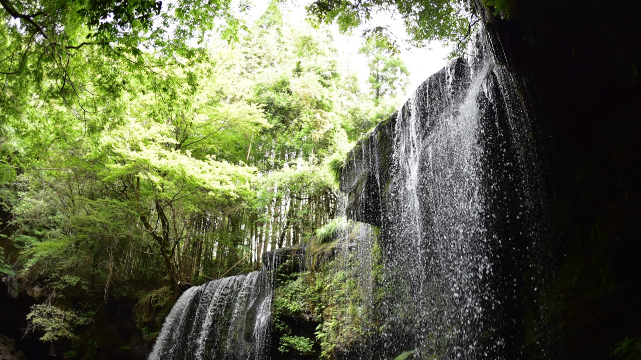 「Multi Create」の仙道 LYNNが撮影した、滝と木々の写真です。